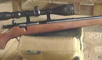 Savage M93 in .17 HRM