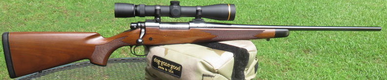 top 10 best rifle scopes for deer hunting
