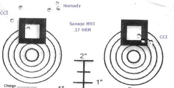 Savage 93 accuracy test