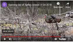 Turkey Hunt 2018