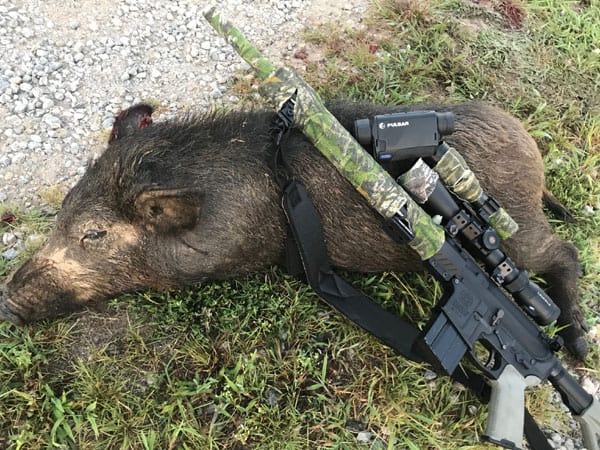 Hog Hunting Georgia