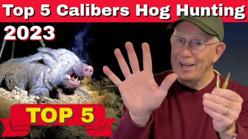 Top 5 Cartridges For Hog Hunting