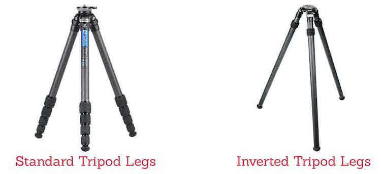 Tripod Legs For Coyote Hunting