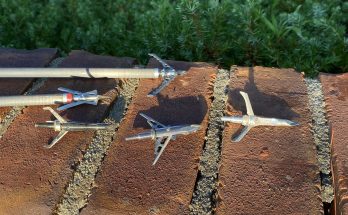 Best Fixed and Mechanical Broadheads for Deer Hunting 2023