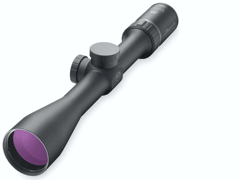 Burris Droptine Riflescope with Ballistic Plex .22 Reticle