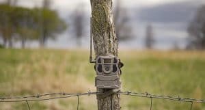 tacatacm X Gen2 trail camera