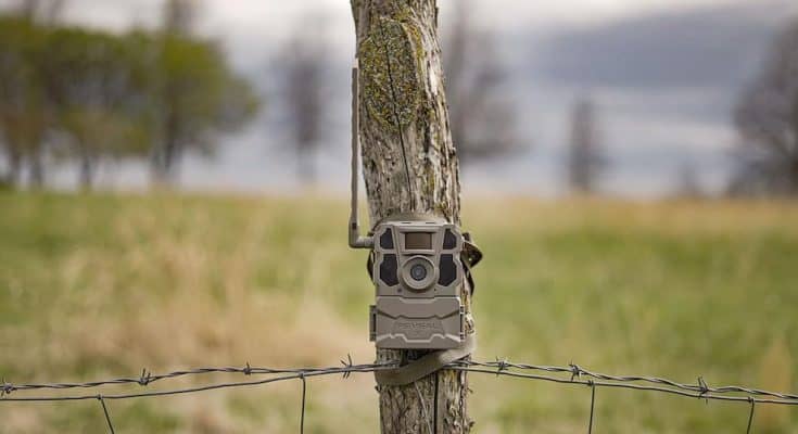 tacatacm X Gen2 trail camera