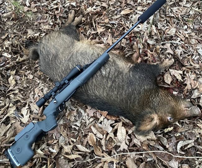 Tikka T3X in 22-250 Remington Review: New 1:8″ Twist Barrel